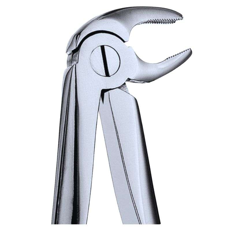 22 Lower Molar Forceps 22-Lower-Molar-Forceps-02