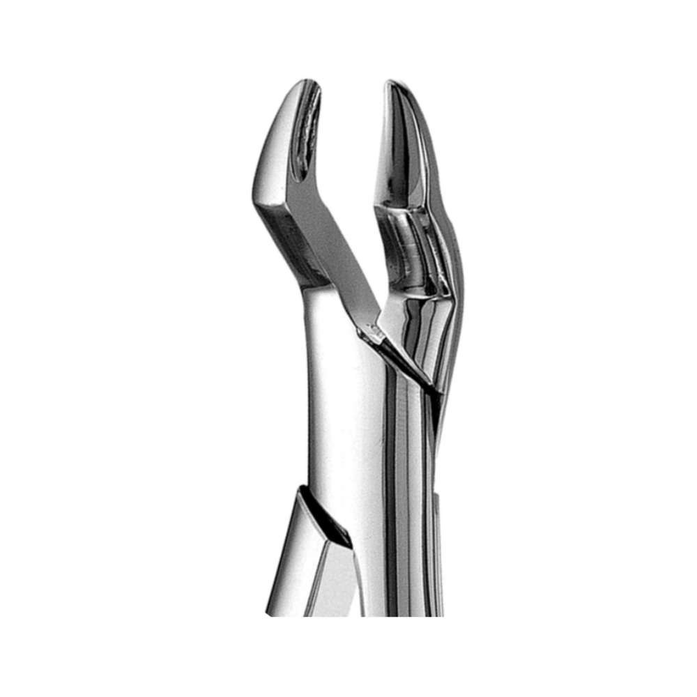 10S Forceps, Upper Molar Extraction Forceps 10S-Forceps-2-Upper-Molars-Forcep