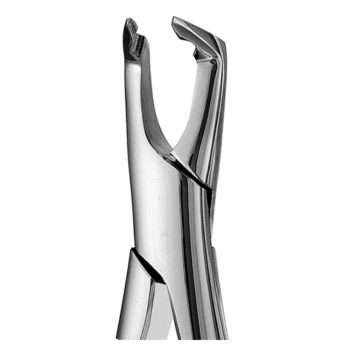 222-Lower-Molars-2-Apical-Atlas