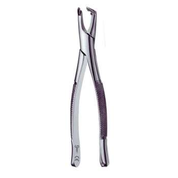 222-Lower-Molars-Apical-Atlas