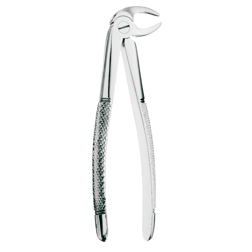 33 Root Forceps, Serrated 33 Root Forceps, Serrated